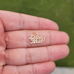 14K or 18K Gold Spoiled Brat Saying Pendant