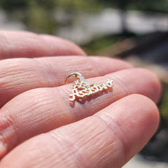 14K or 18K Gold #1 Assistant Pendant