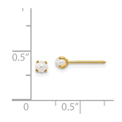 Inverness 14K Yellow Gold 3mm Simulated Pearl Post Earrings
