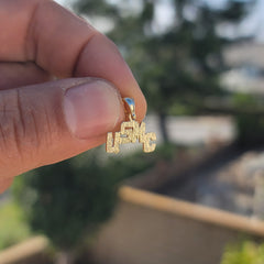 14K or 18K Gold USMC Pendant