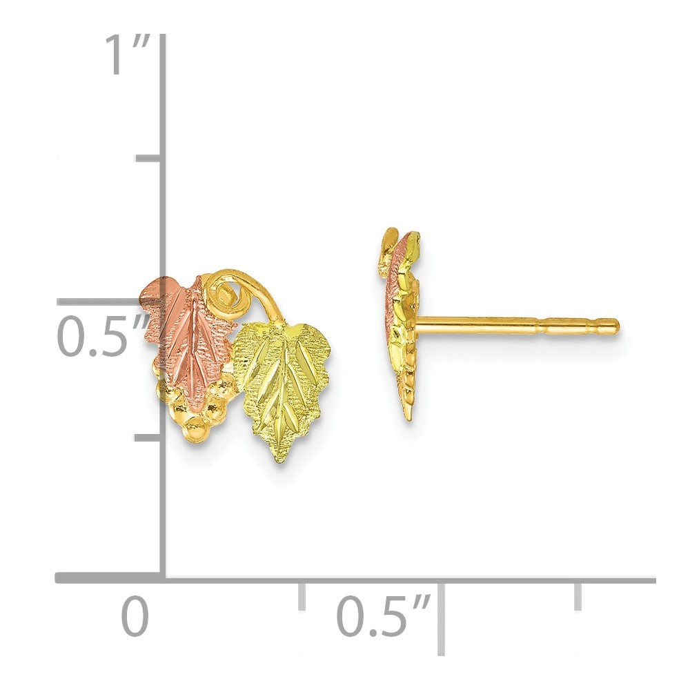 10K Tri-color Black Hills Gold Post Earrings