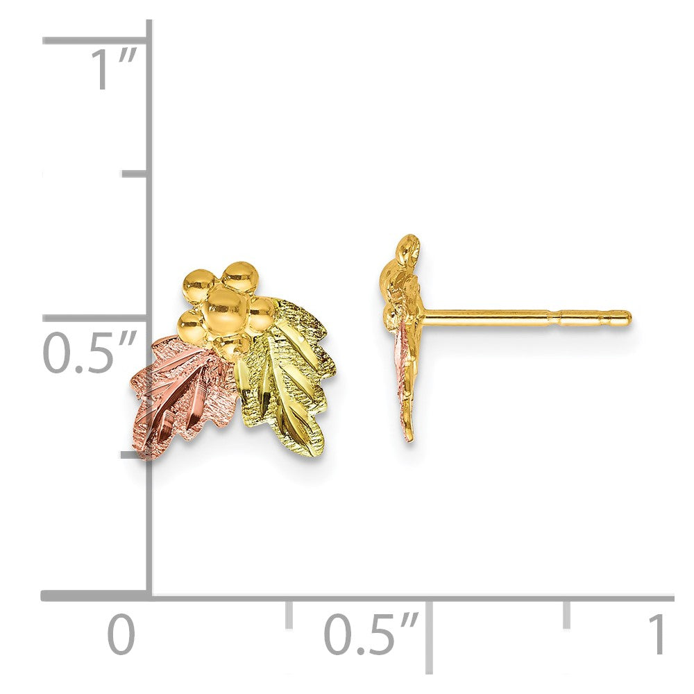 10K Tri-color Black Hills Gold Post Earrings