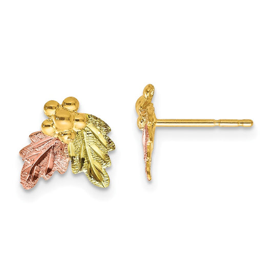 10K Tri-color Black Hills Gold Post Earrings