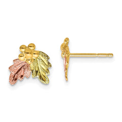 10K Tri-color Black Hills Gold Post Earrings