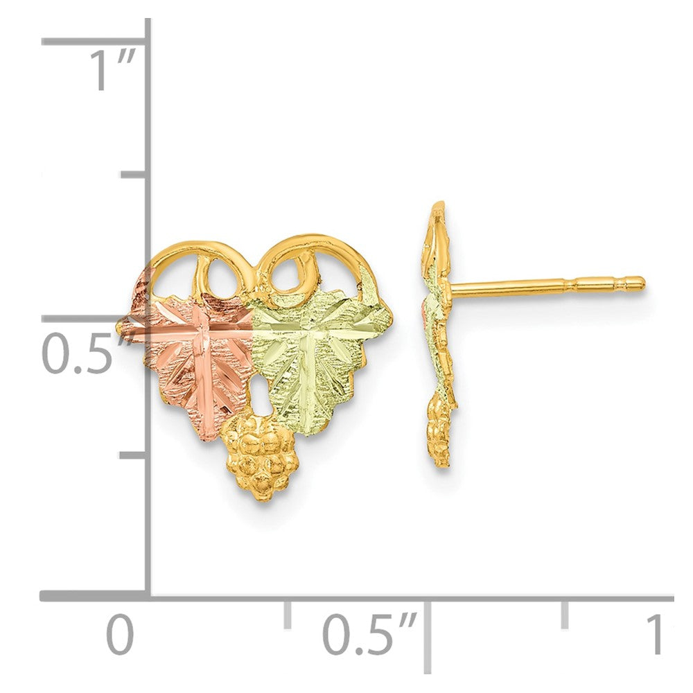 10K Tri-Color Black Hills Gold Post Earrings