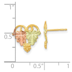 10K Tri-Color Black Hills Gold Post Earrings