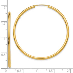 10K Yellow Gold Polished Round Endless 2mm Hoop Earrings
