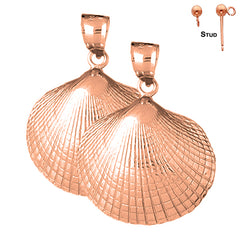 14K or 18K Gold Shell Earrings