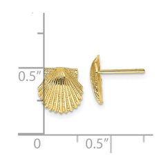 10K Yellow Gold Scallop Shell Post Earrings