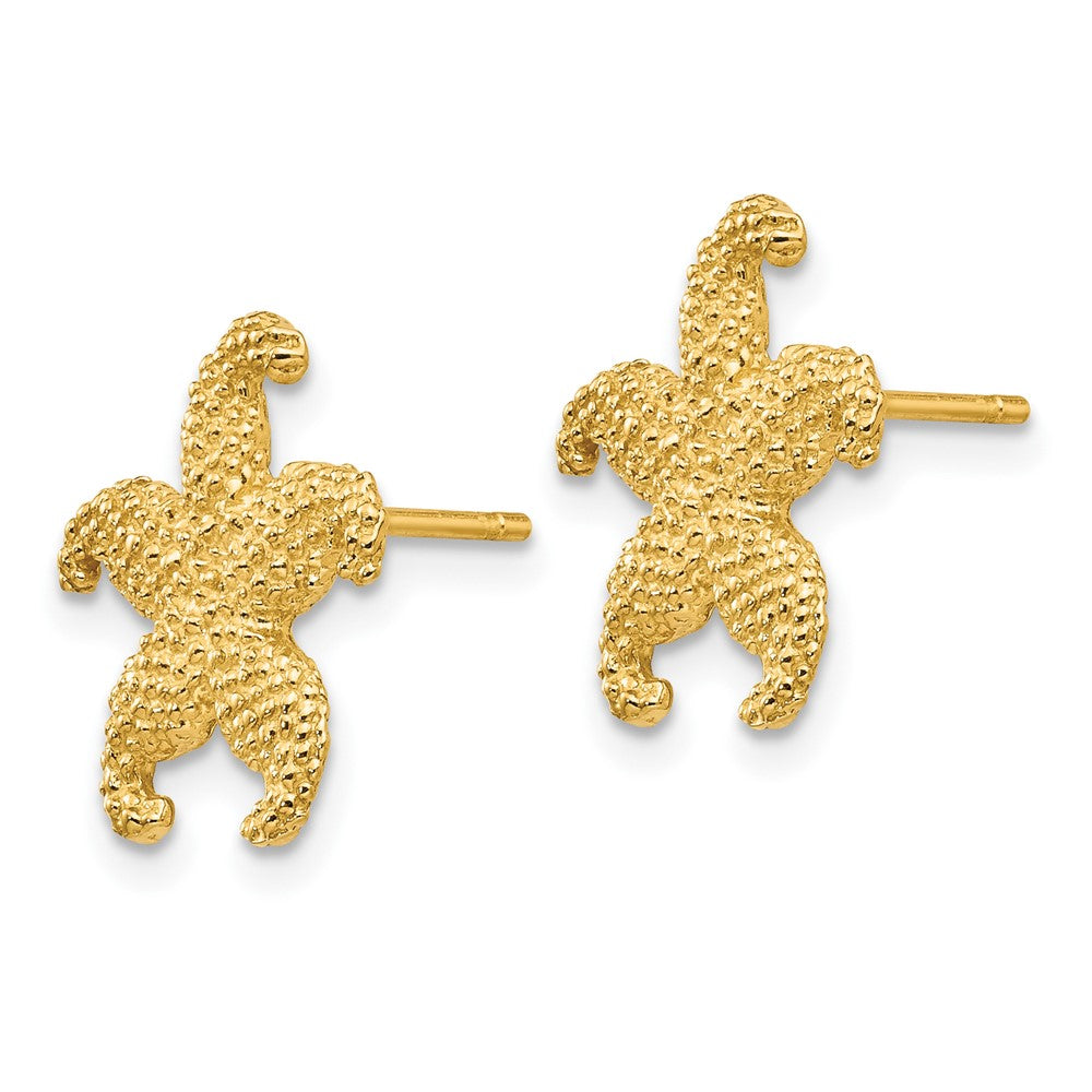 10K Yellow Gold Starfish Post Earrings