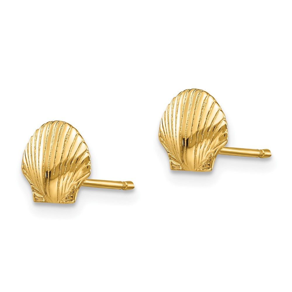 10K Yellow Gold Mini Scallop Shell Post Earrings