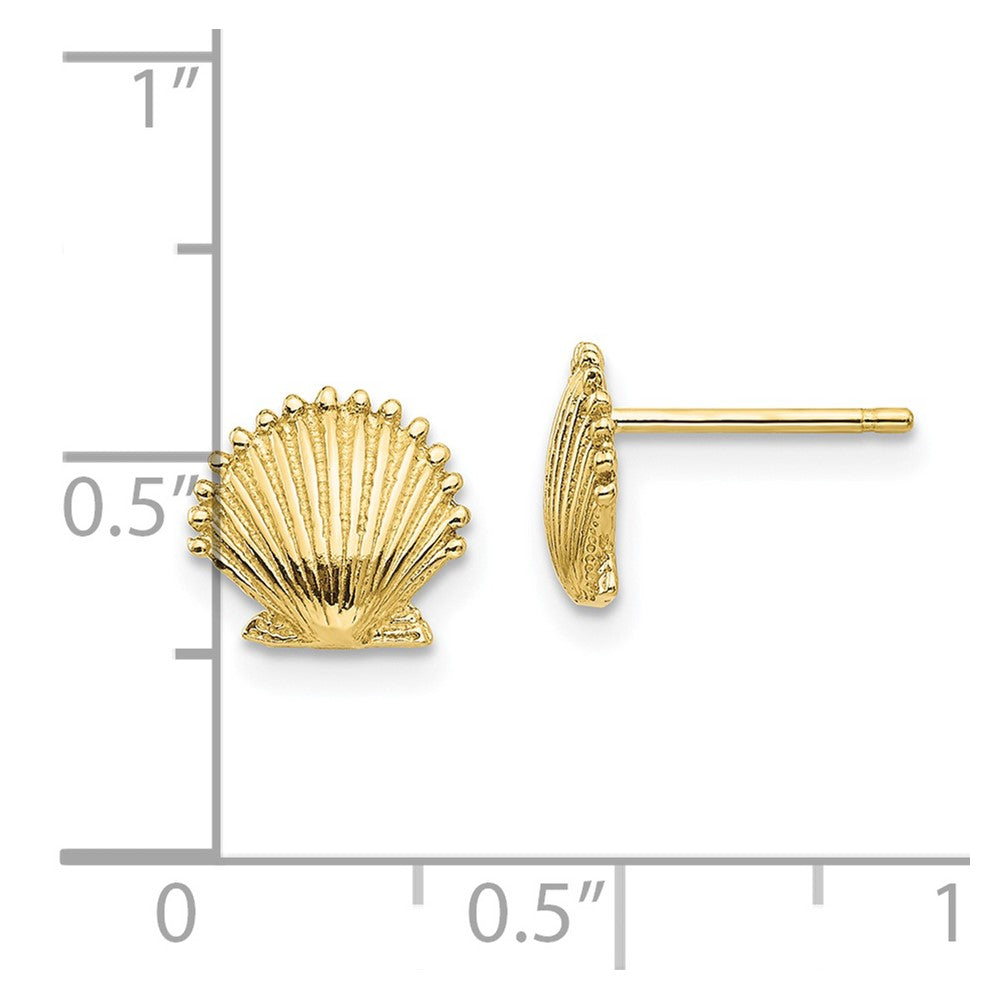 10K Yellow Gold Scallop Shell Post Earrings