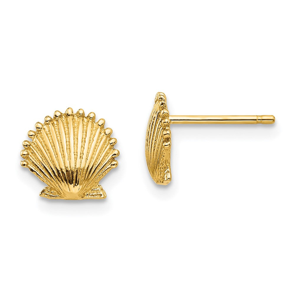 10K Yellow Gold Scallop Shell Post Earrings