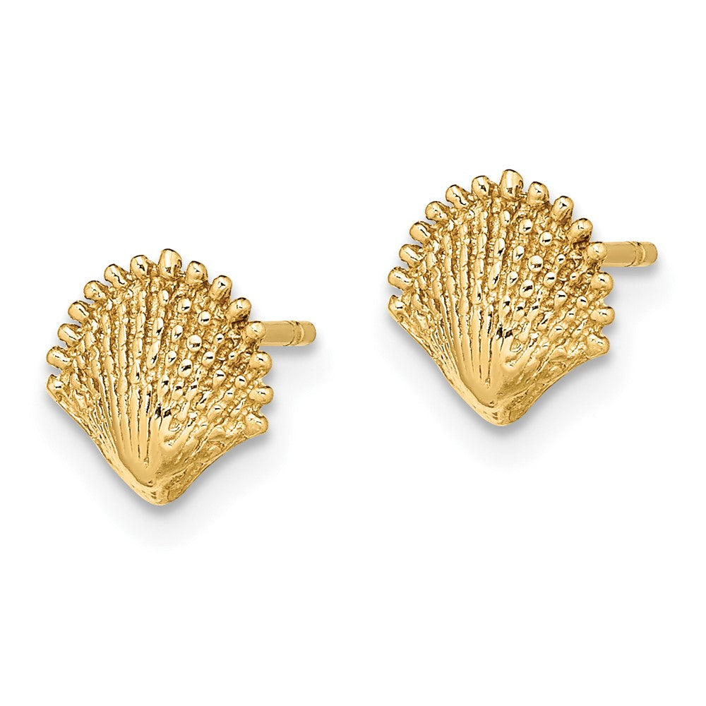 10K Yellow Gold Scallop Shell Post Earrings