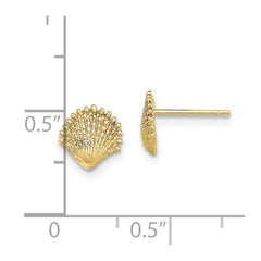10K Yellow Gold Scallop Shell Post Earrings