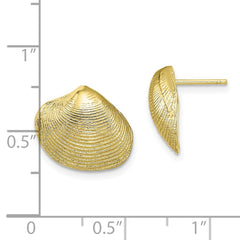 10K Yellow Gold Clam Shell Post Earrings