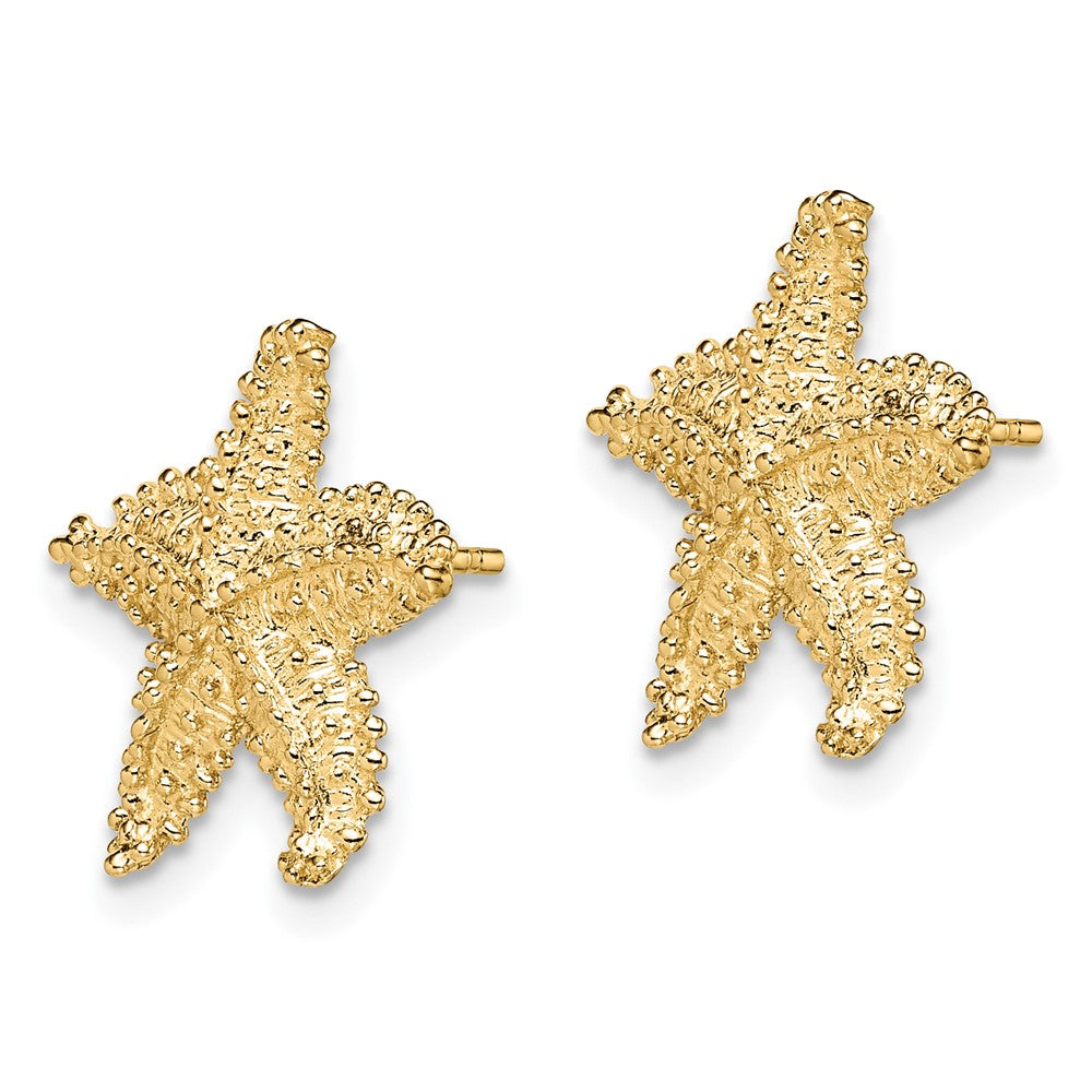 10K Yellow Gold Textured Beaded Starfish Post Earrings