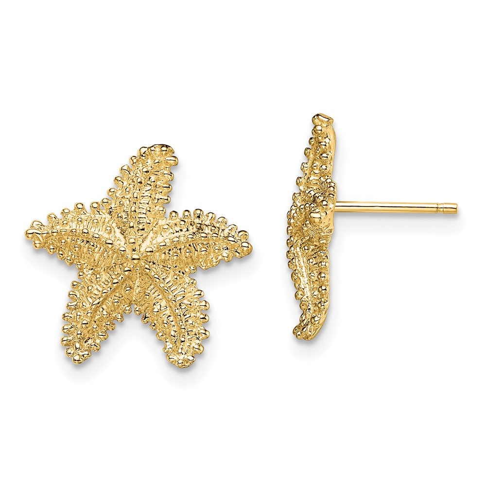 10K Yellow Gold Textured Beaded Starfish Post Earrings