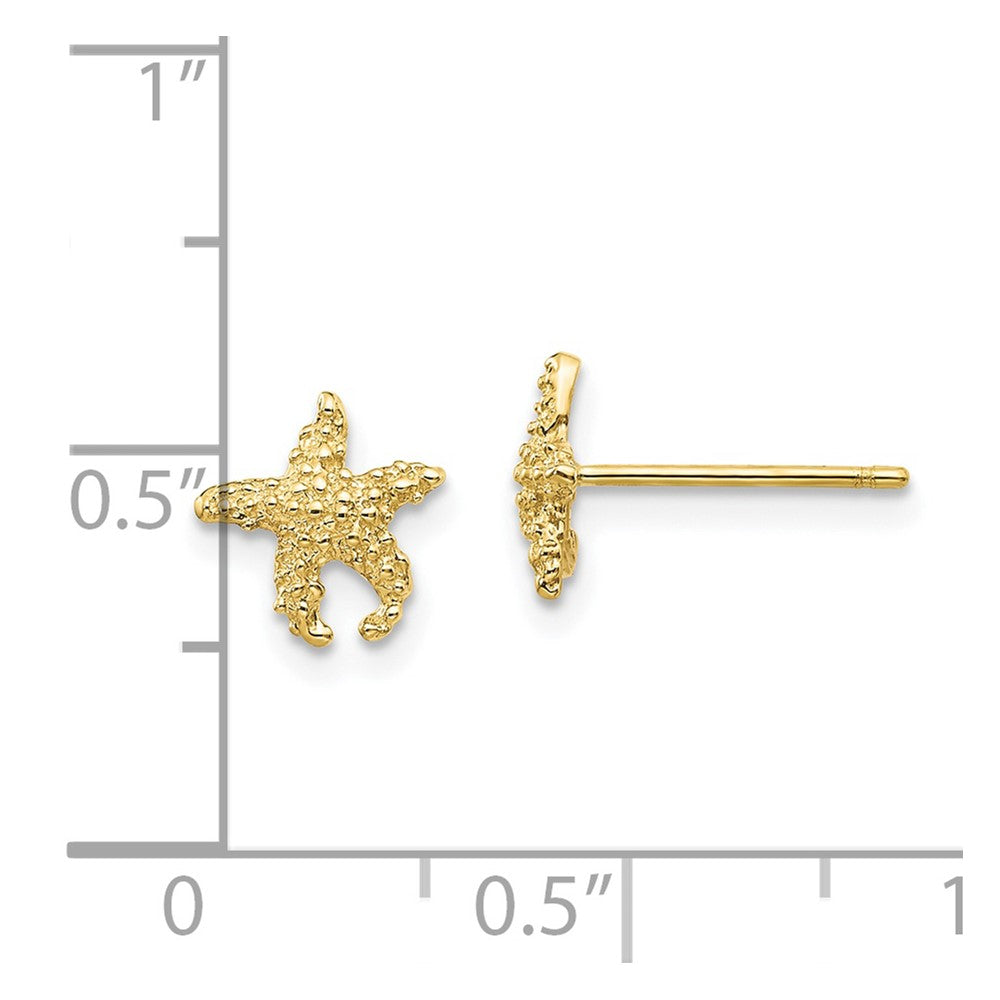 10K Yellow Gold Polished Textured Starfish Post Earrings