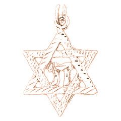 14K or 18K Gold Star of David Pendant