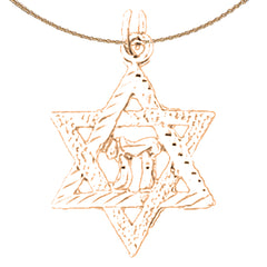 Colgante Estrella de David de Oro de 14K o 18K