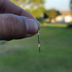 14K oder 18K Gold Hamsa & Davidstern Anhänger