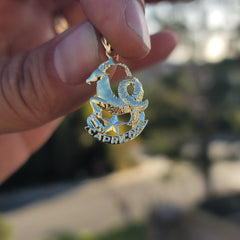 14K or 18K Gold Zodiac - Capricorn Pendant