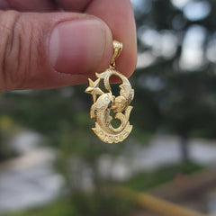 14K or 18K Gold Zodiac - Pisces Pendant