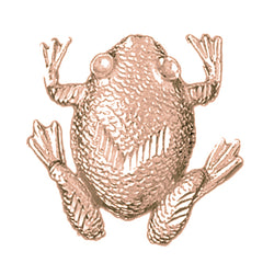 10K, 14K or 18K Gold Frog Pendant