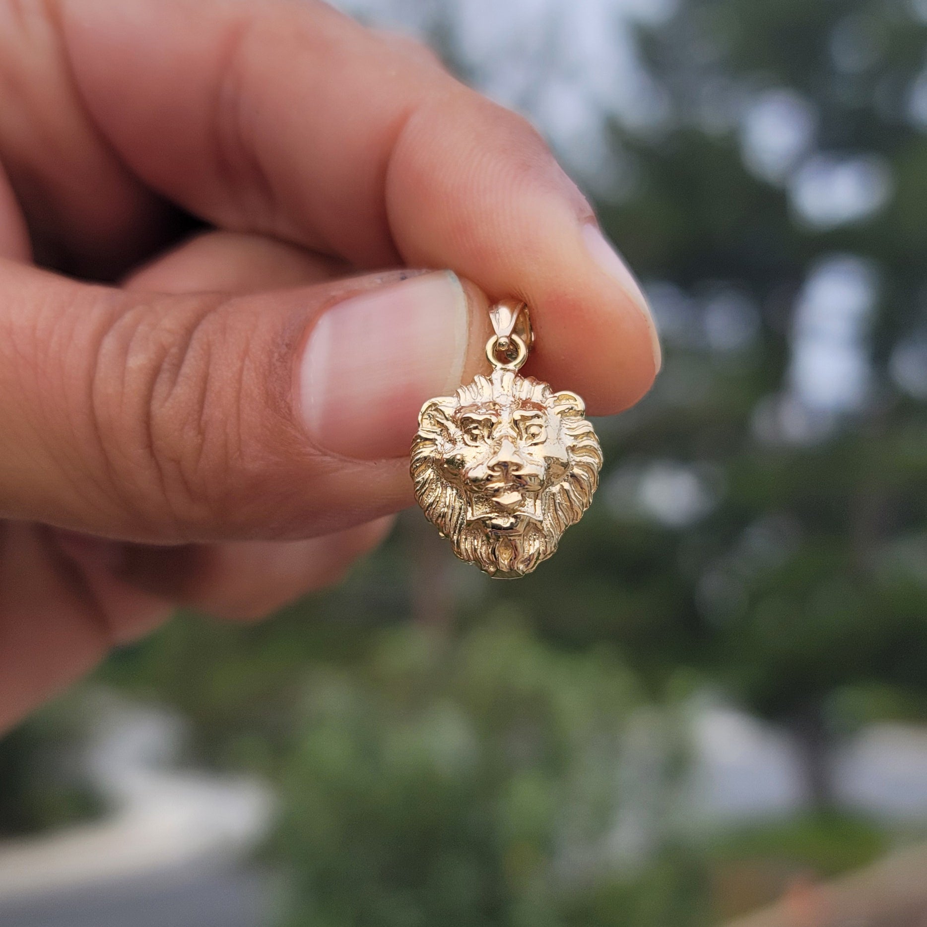 10K, 14K or 18K Gold Lion Head Pendant