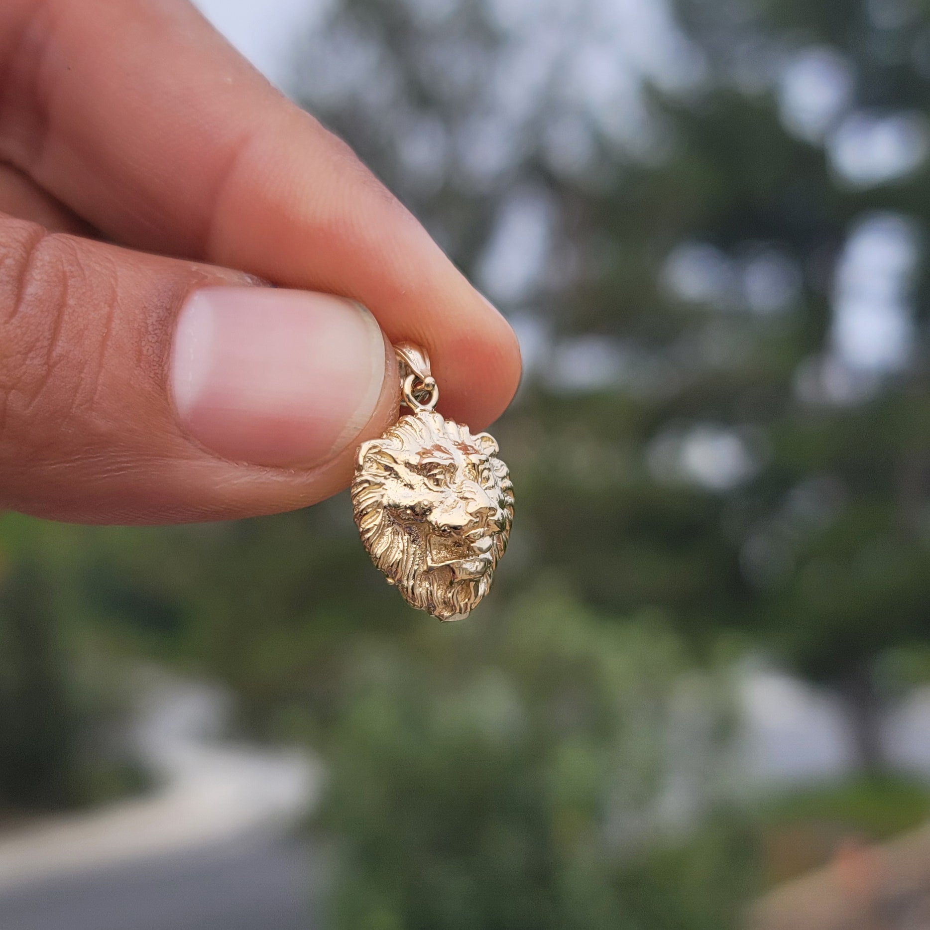 10K, 14K or 18K Gold Lion Head Pendant