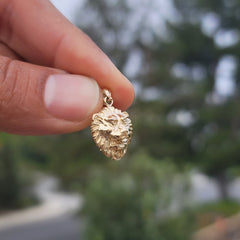 10K, 14K or 18K Gold Lion Head Pendant