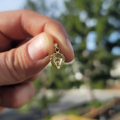 14K oder 18K Gold Löwenkopf Anhänger