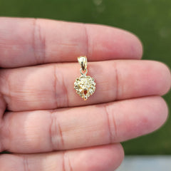 14K oder 18K Gold Löwenkopf Anhänger
