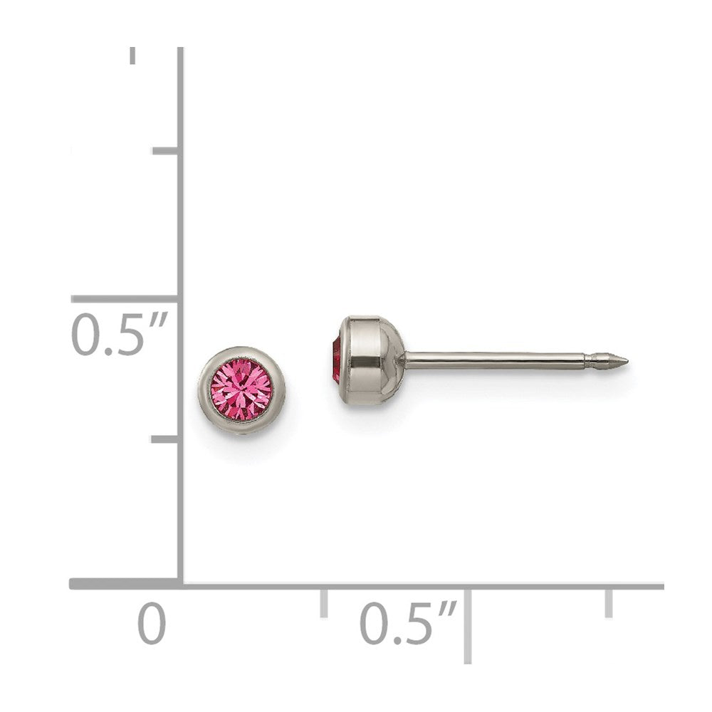 Inverness Titanium 4mm Rose Crystal Bezel Earrings