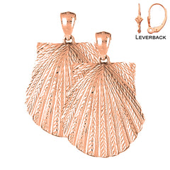 14K or 18K Gold Shell Earrings