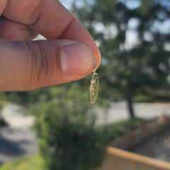 Colgante Bulldog de Oro de 14K o 18K