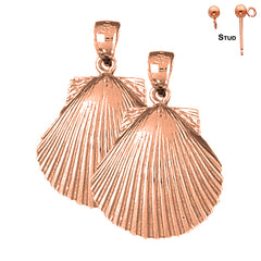 14K or 18K Gold Shell Earrings