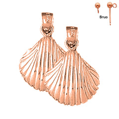 14K or 18K Gold Shell Earrings