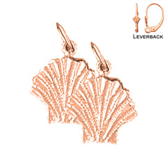 14K or 18K Gold Shell Earrings