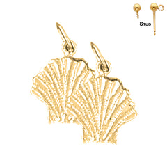 14K or 18K Gold Shell Earrings
