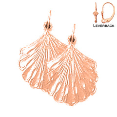 14K or 18K Gold Shell Earrings