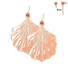 14K or 18K Gold Shell Earrings