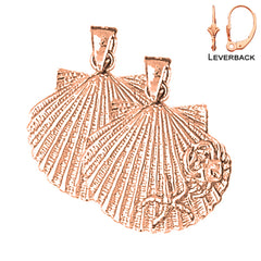 14K or 18K Gold Shell Earrings