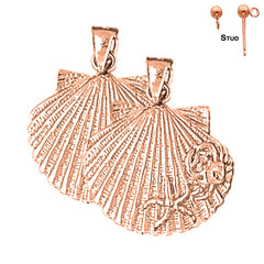 14K or 18K Gold Shell Earrings