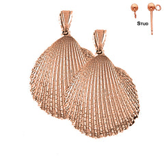14K or 18K Gold Shell Earrings