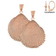 14K or 18K Gold Shell Earrings