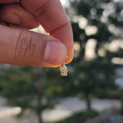 3D-Grizzlybär-Anhänger aus 10 Karat, 14 Karat oder 18 Karat Gold