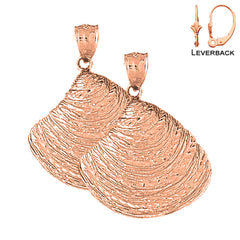 14K or 18K Gold Shell Earrings