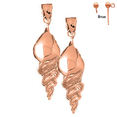 14K or 18K Gold Conch Shell Earrings
